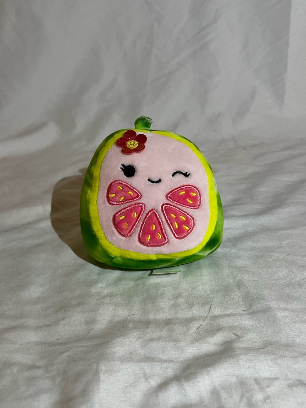 5 inch Plush Fruit Accent Pillow - Pink and Green